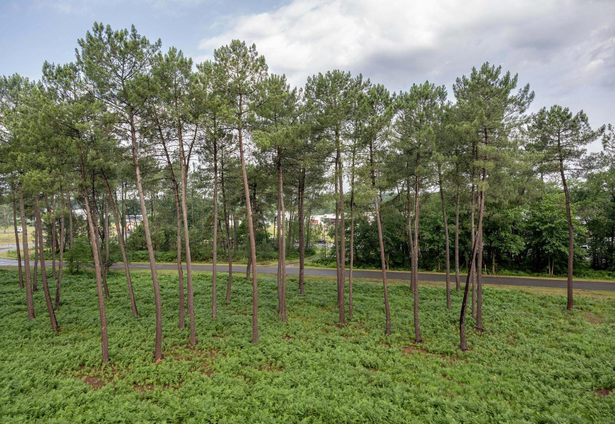 蒙德马桑住宿加早餐旅馆 Saint-Avit  外观 照片